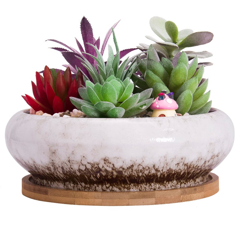 ARTKETTY Succulent Pots - 7.3 Inch Ceramic Bonsai Pot with Tray, Large Succulent Planters with Drainage, Shallow Planter for Indoor Cactus Plants Decorative Flower Plant Container Bowl - Image 1